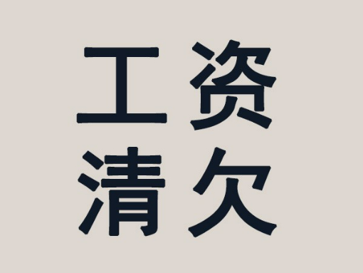 债务人无力清偿债务如何证明